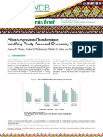Africa's Agricultural Transformation: Identifying Priority Areas and Overcoming Challenges