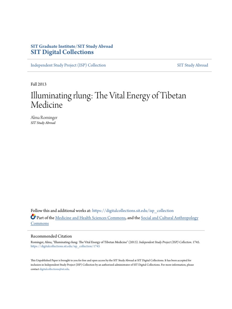 Understanding rlung in Tibetan Medicine | PDF | Mind | Meditation