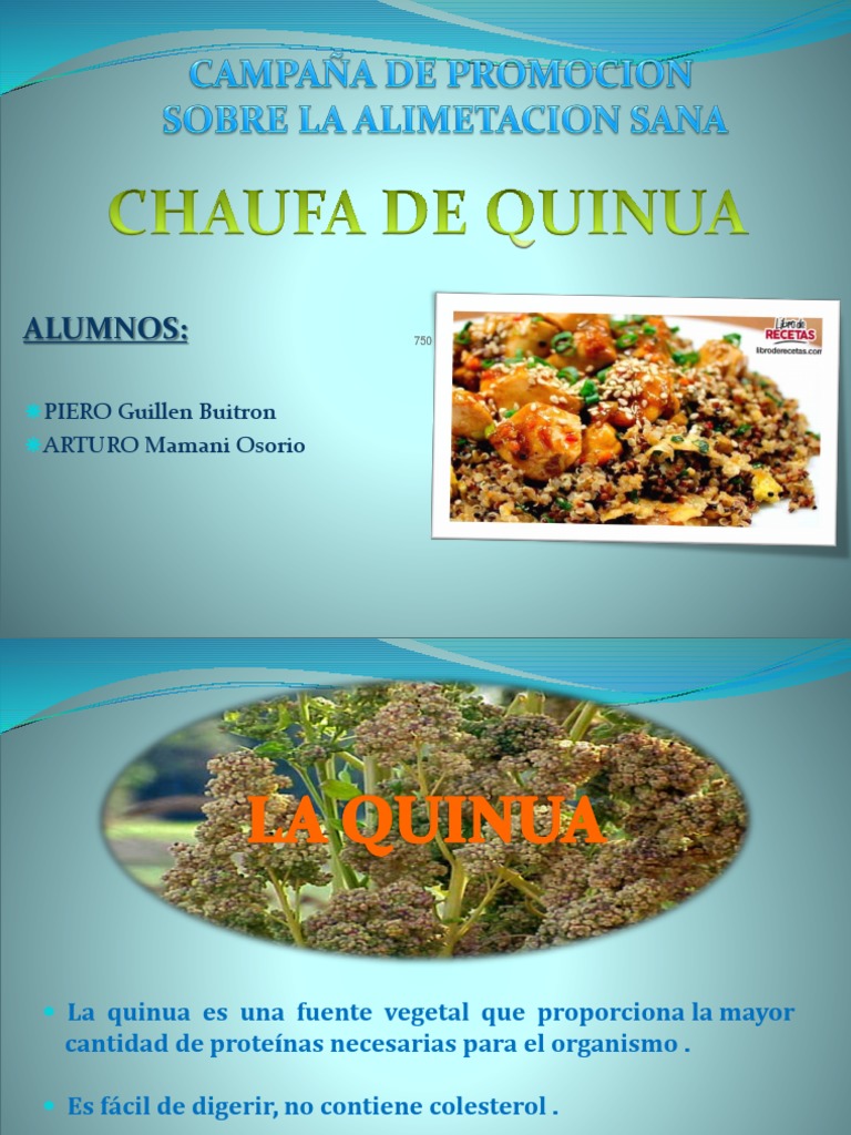 Chaufa de Quinua Ok PDF Quinua Huevo como alimento