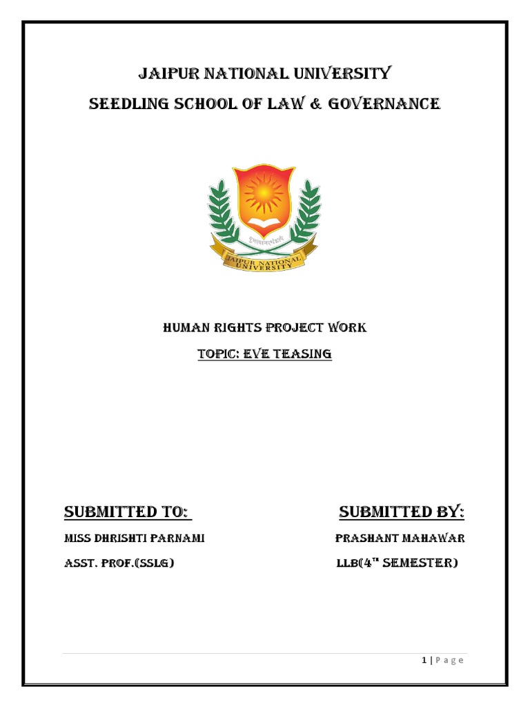 Human Rights Project | PDF | Sexual Harassment | Violence