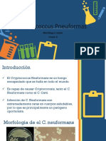 Criptococcus Pneuformas