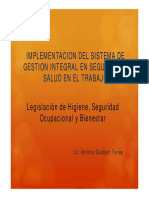 implementacion_sistema_gestion.pdf