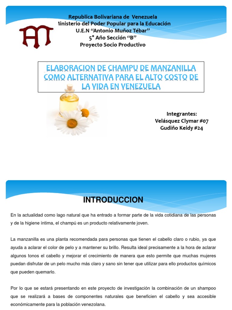 Tesis Previa Shampoo de Manzanilla PDF Pelo Champú