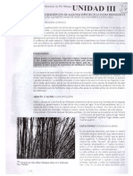 Geografía - Tema 3.pdf