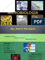 1.MICROBIOLOGIA (1)