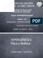 HIPERGENESIS FISICA Y BIOFISICA.pptx