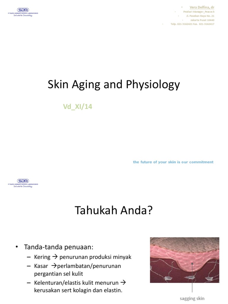 Aging Skin | PDF