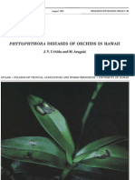 Phytophthora Diseases of Orchids in Hawaii: Y. Uchida and M