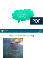 What Is Sustainability Reporting?