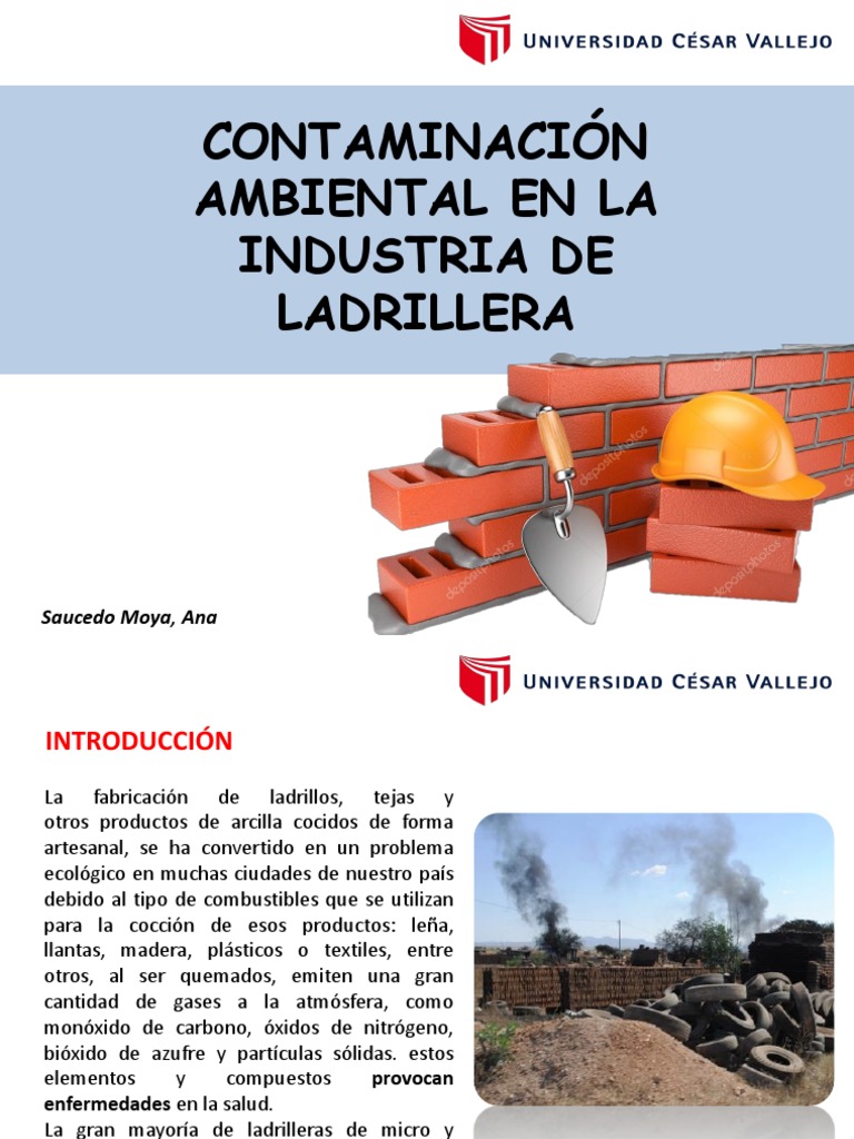 Contaminacion Ambiental en La Industria de Las Ladrilleras | PDF ...