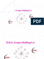 D.M.G. Grupo Holding S.A