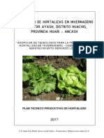 Plan Produccion Horticola Ayash PDF