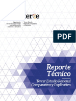 Reporte Tecnico TERCE