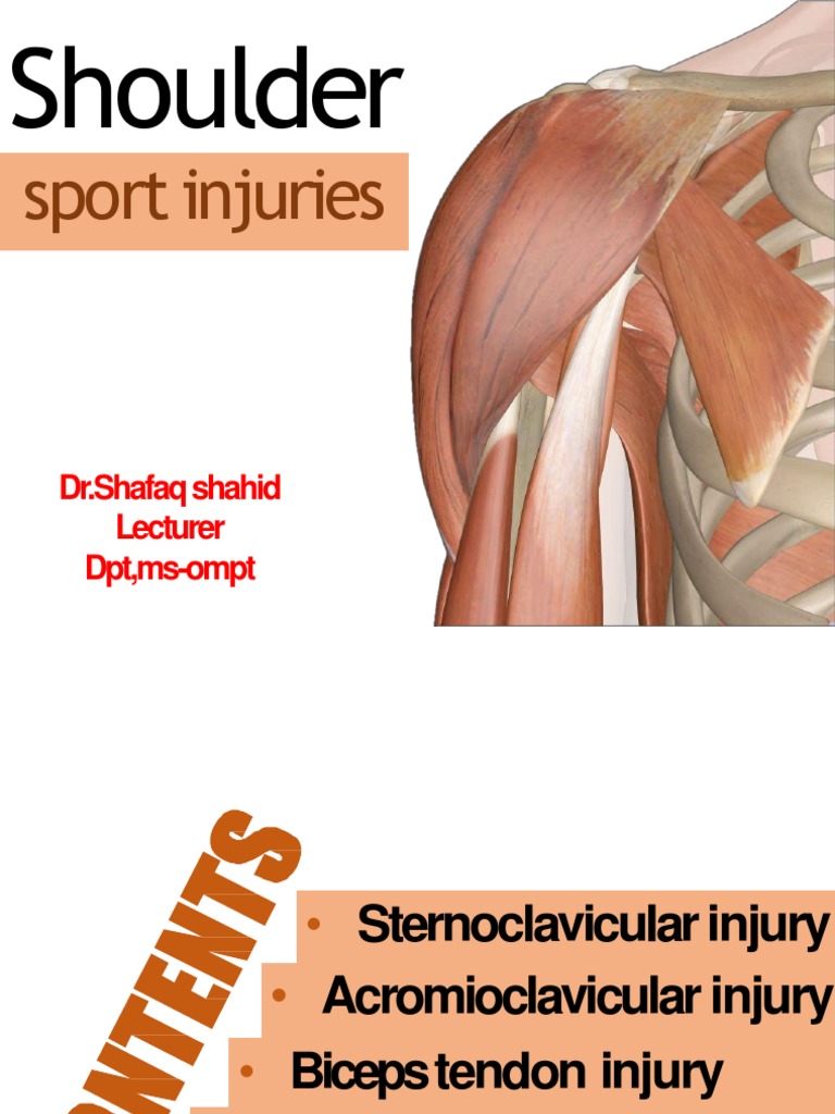 Sports Shoulder Injuries Overview | PDF | Shoulder | Musculoskeletal System