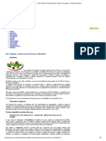 Conservação de Frutas Pós-Colheita