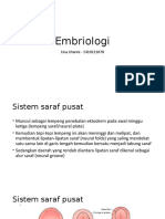 Embriologi.pptx