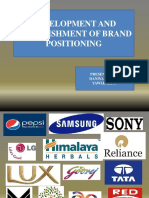 Development and Establishment of Brand Positioning