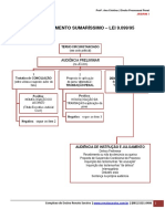 Direito Processual Penal - JECRIM I PDF