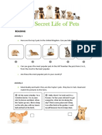 Pets - Inglês 5 - Atividade