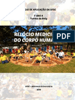 Relógio Medicinal do Corpo Humano