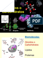 GLUCIDOS