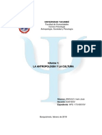 Informe 1_La antropologia y la cultura_Irwin Angulo HPS -173-00010V_ED01D0V.pdf