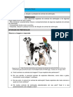 Animais de Estimacao 53352591937230.36543885