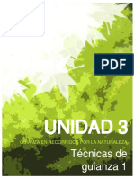 unidad3DescGuianza.pdf