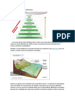 Niveles de Organización en La Naturaleza