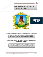 Plan de Accion Del Comité Distrital de Seguridad Ciudadana