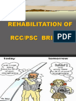A Rehabilitation of RCC - PSC Bridges