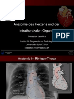 Anatomie Des Herzens - Radiologie