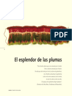 El Esplendor de Las Plumas: (Francisco de Ávila, Ritos y Tradiciones de Huarochirí)