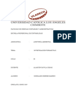 Investigacion Formativa II