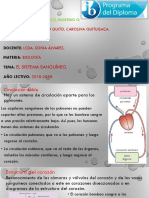 6.2) El Sistema Sanguíneo Ángel Quito