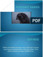 Ppt Rabies Kk Yuni