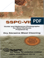 SSPC VIS 1.pdf