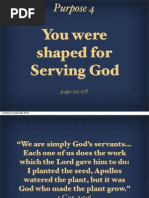 Rick Warren, Purpose Driven Life