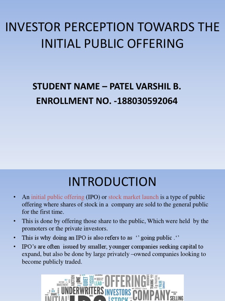 Investor Insights on IPO Processes | PDF | Initial Public Offering ...