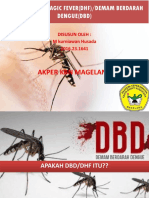 Akper KBN Magelang: Dengue Hemorragic Fever (DHF) /demam Berdarah Dengue (DBD)