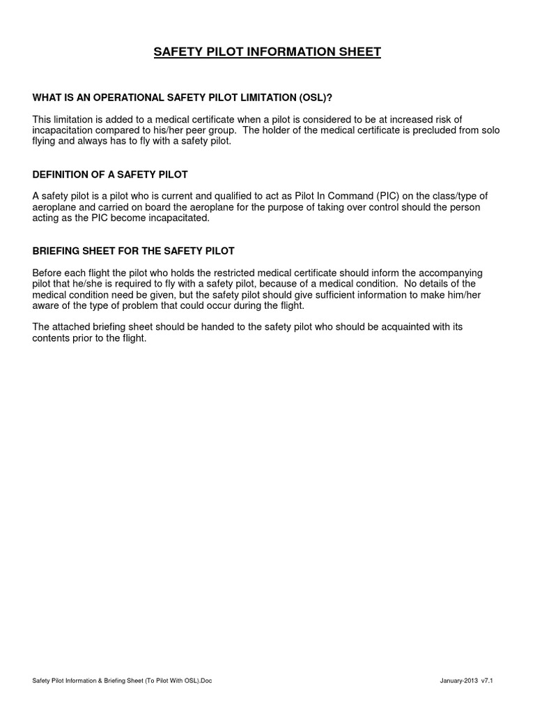 Safety Pilot Information and Briefing Sheet PDF Airplane Flight