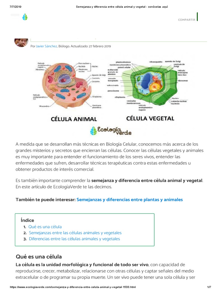 Semejanza y Diferencia Entre Célula Animal y Vegetal