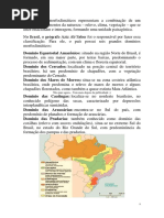 Os Domínios Morfoclimáticos