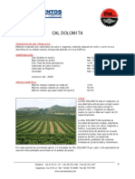 Cal Dolomita.pdf