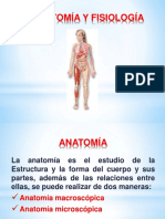 Anatomía