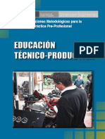 Orientaciones PPP.pdf