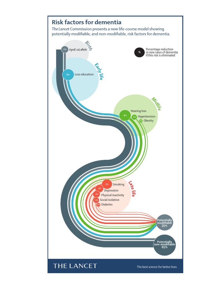 Dementia Risk Factors Explained | PDF | Obesity | Determinants Of Health