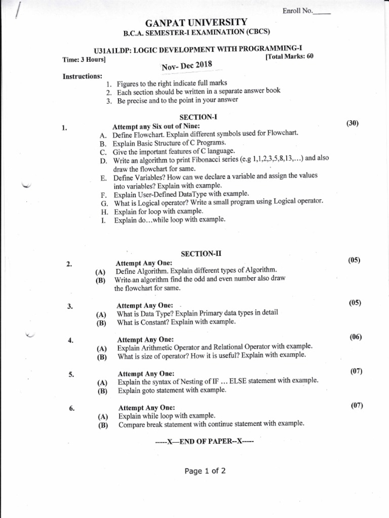 BCA I Sem HTML Practical File | PDF | Algorithms | C (Programming Language)