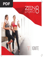 Zen 8 Project Fase 2 (Ignite)