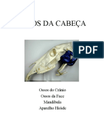 Osteologia